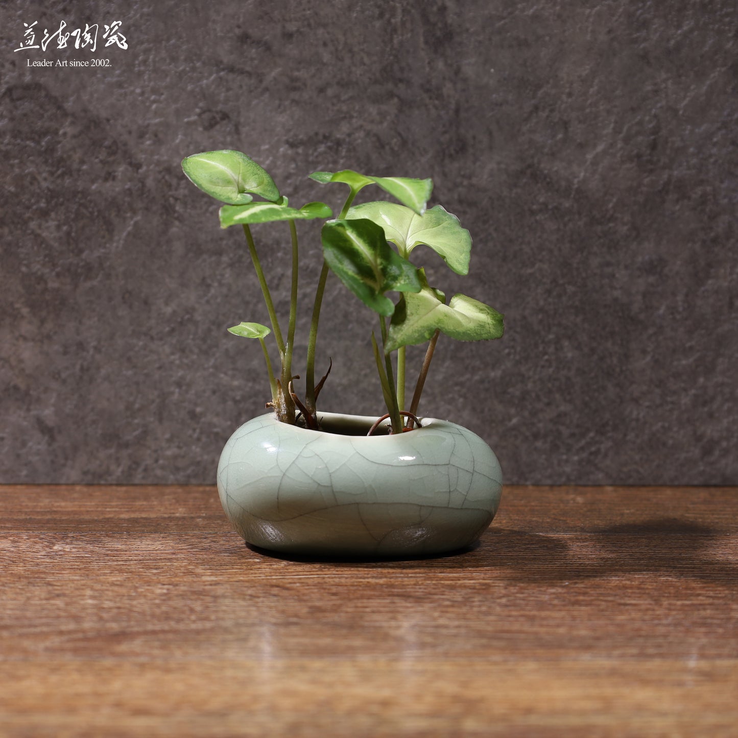 LEADER蛋器花瓶 手工陶藝花器 彩陶哥窯汝白石墨水栽居家綠植