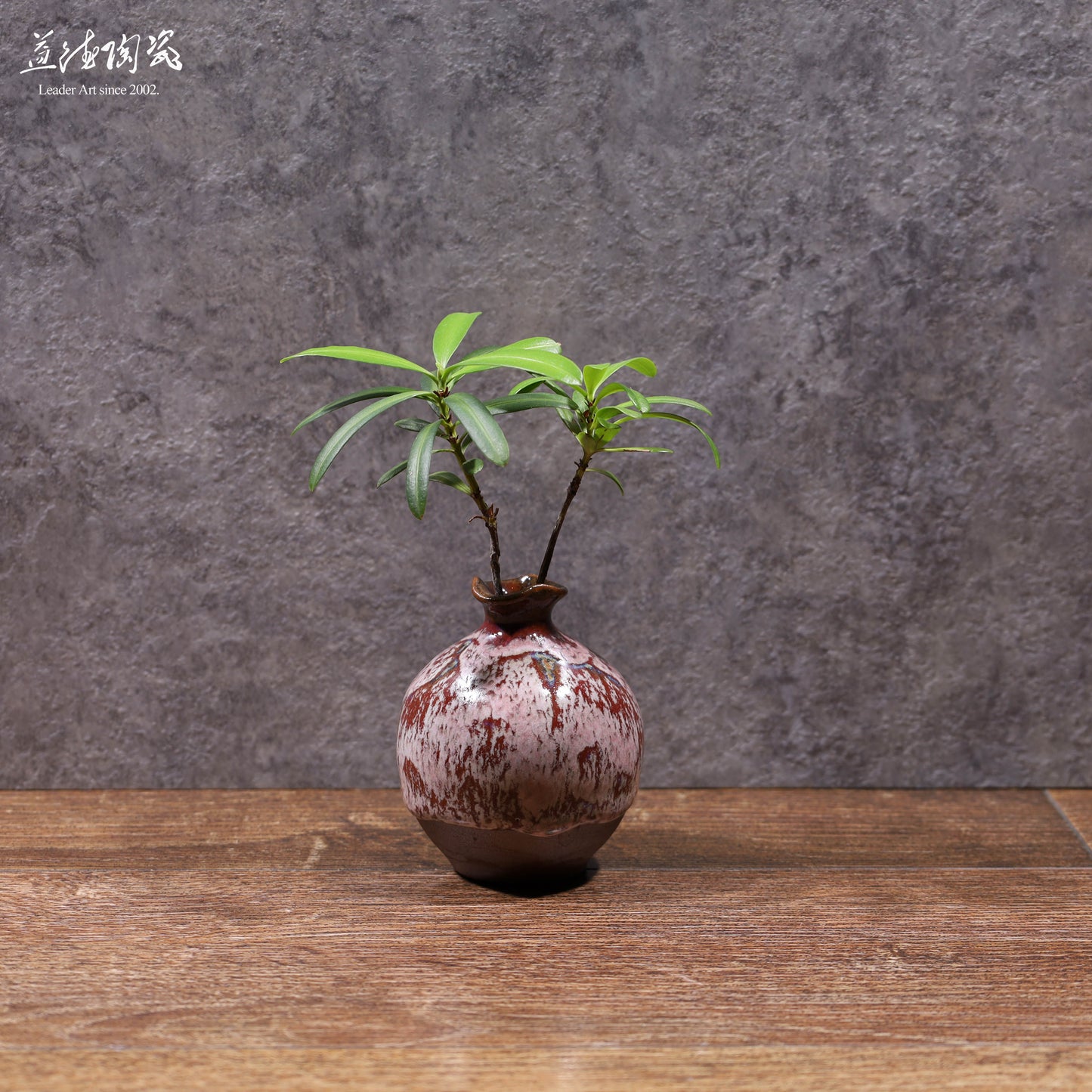 LEADER 酪紅釉淡雅插花瓶 鶯歌手工拉坏花器 居家水栽陶罐植栽