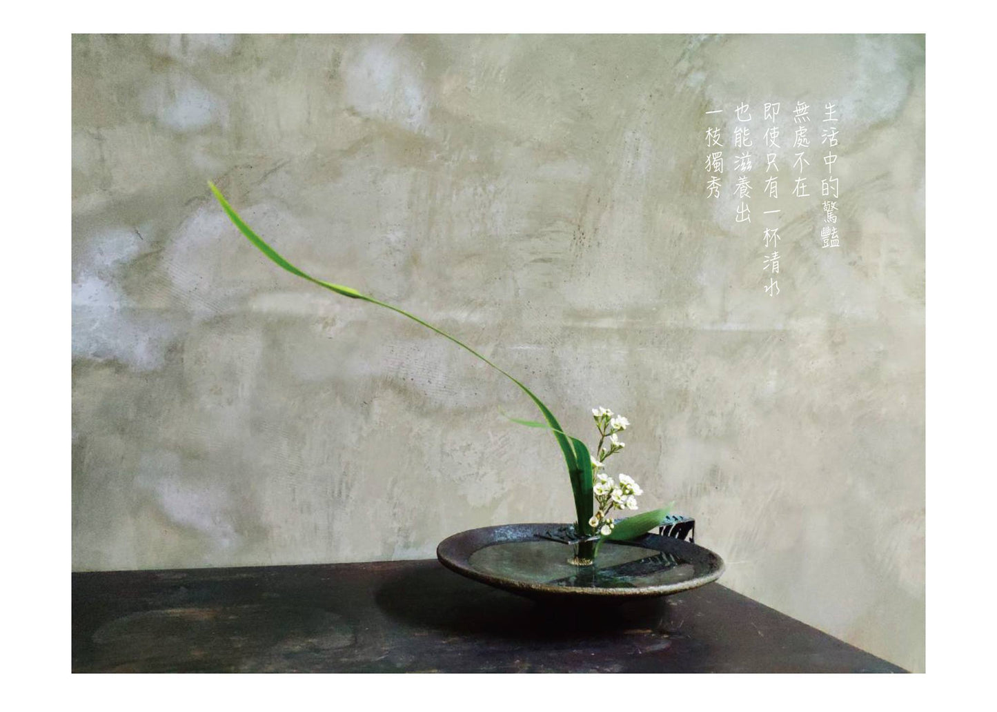 Flower dimple - Limited Design of Bronze Sculpture - LEADER 益德 | 居家設計藝品・人文茶器・空間美學作品