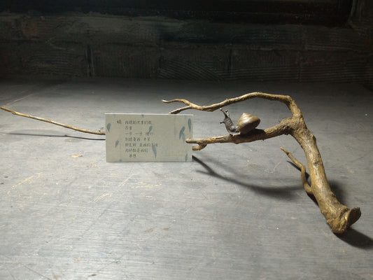 阿慢-蝸 仿木枝手工青銅器 名片座 Oman/card holder - LEADER 益德 | 居家設計藝品・人文茶器・空間美學作品