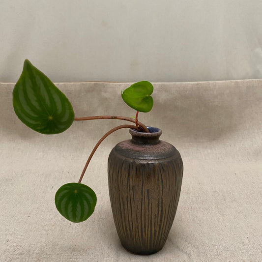 晨曦直紋高昇瓶