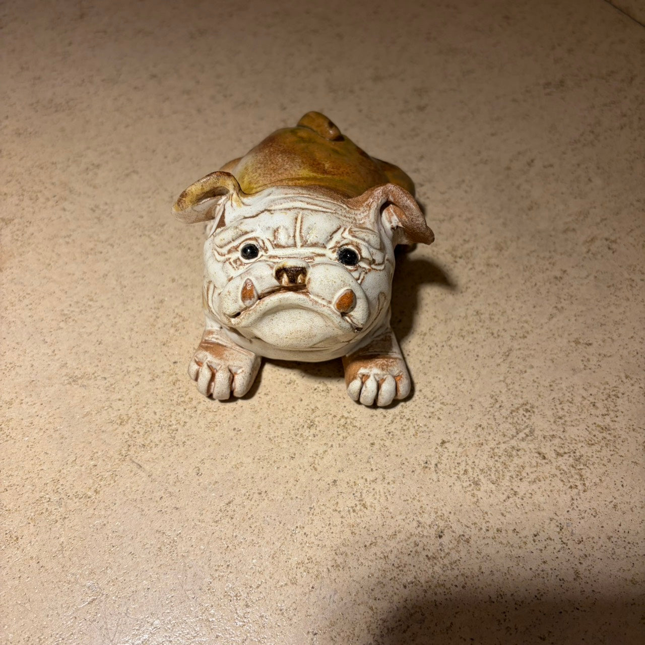 小比--手捏陶藝   比特犬